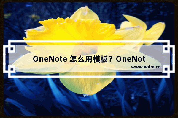 OneNote 怎么用模板？OneNote 页面模板怎么使用？