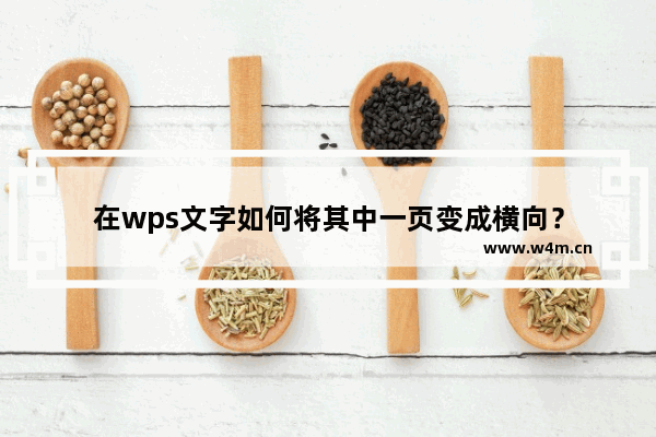 在wps文字如何将其中一页变成横向？