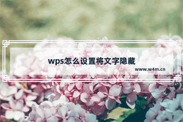 wps怎么设置将文字隐藏