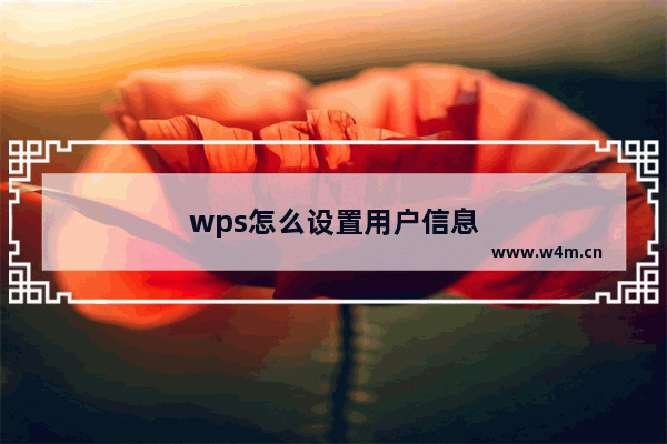 wps怎么设置用户信息