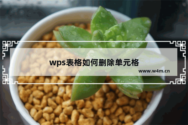 wps表格如何删除单元格