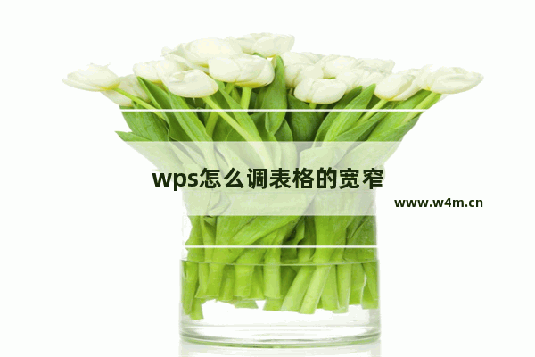 wps怎么调表格的宽窄