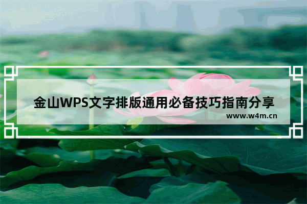 金山WPS文字排版通用必备技巧指南分享