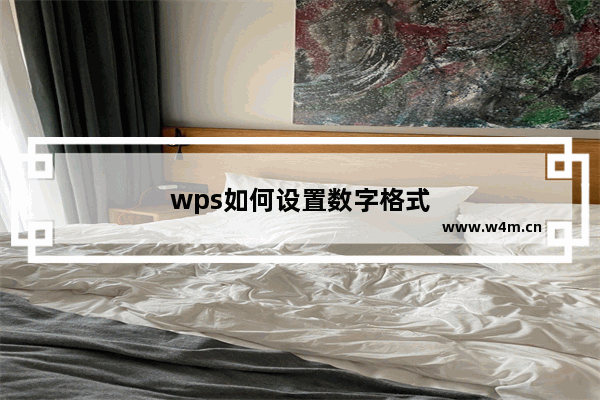 wps如何设置数字格式