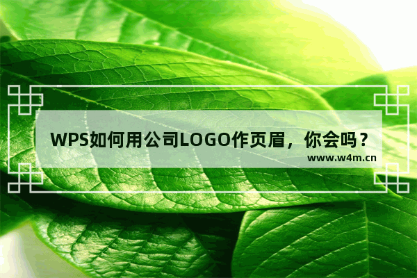 WPS如何用公司LOGO作页眉，你会吗？