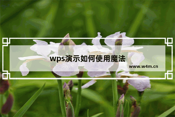 wps演示如何使用魔法