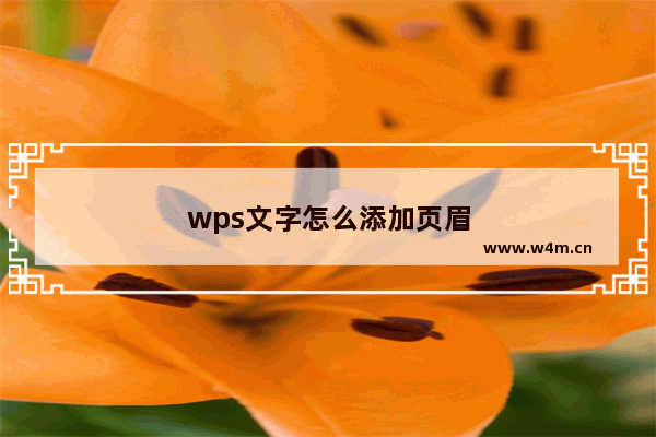 wps文字怎么添加页眉