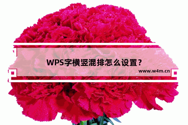 WPS字横竖混排怎么设置？