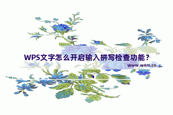 WPS文字怎么开启输入拼写检查功能？