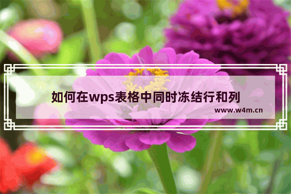 如何在wps表格中同时冻结行和列