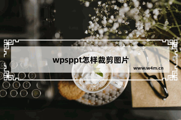 wpsppt怎样裁剪图片