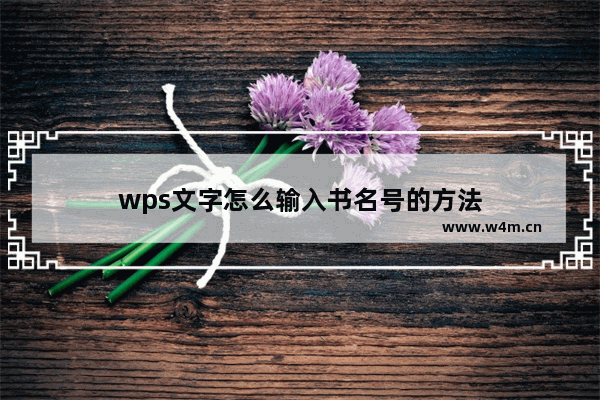 wps文字怎么输入书名号的方法