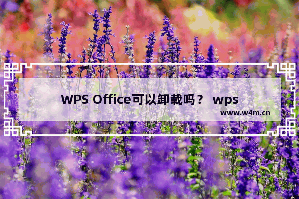 WPS Office可以卸载吗？ wps office是什么？