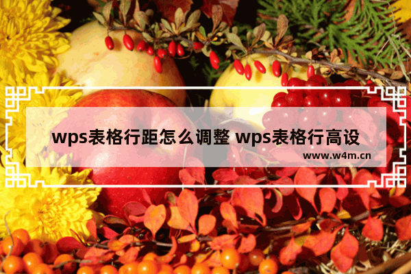 wps表格行距怎么调整 wps表格行高设置方法