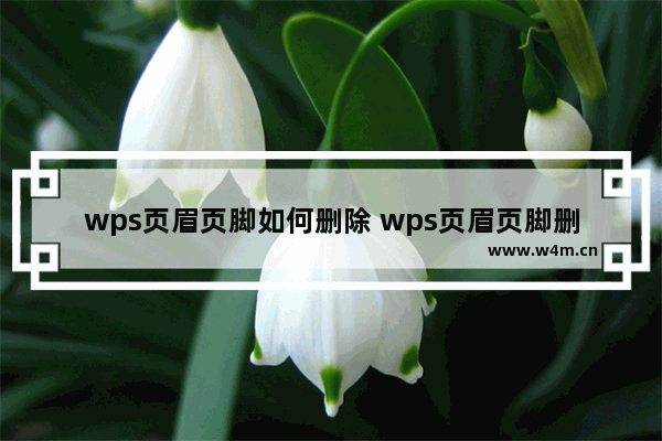 wps页眉页脚如何删除 wps页眉页脚删除教程