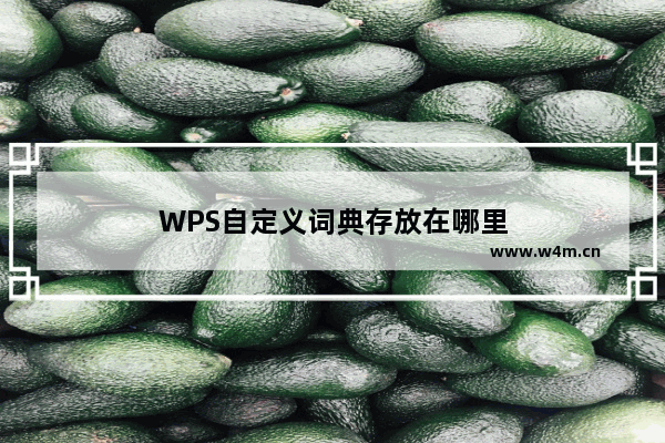 WPS自定义词典存放在哪里