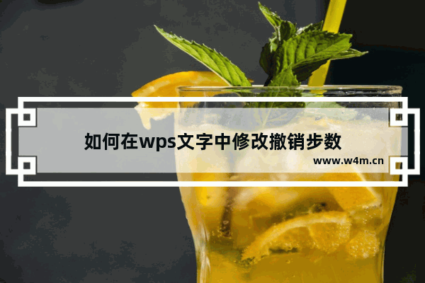 如何在wps文字中修改撤销步数