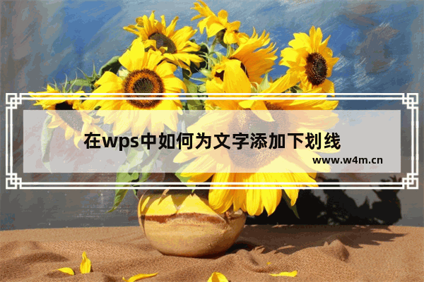 在wps中如何为文字添加下划线