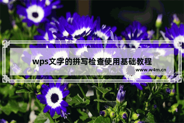 wps文字的拼写检查使用基础教程