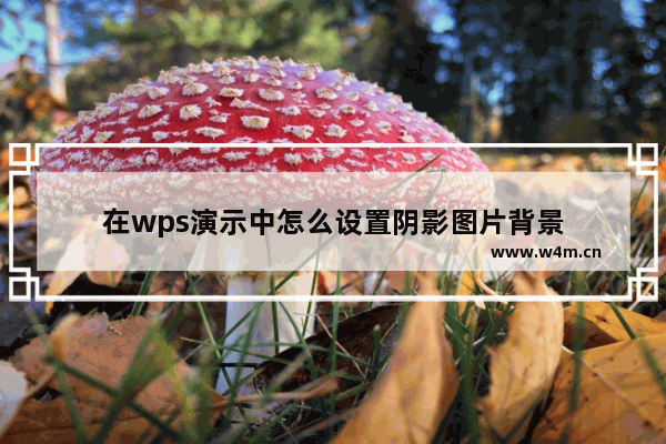 在wps演示中怎么设置阴影图片背景