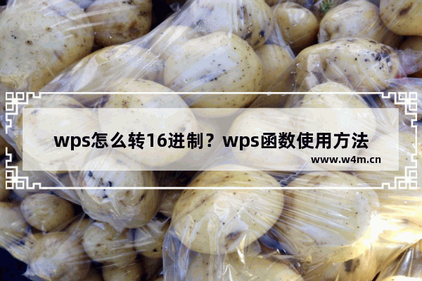 wps怎么转16进制？wps函数使用方法教程