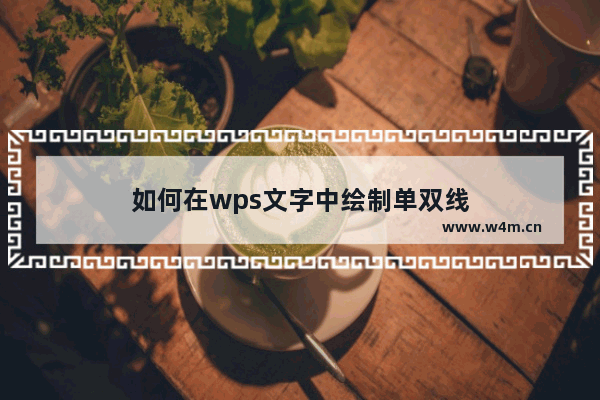 如何在wps文字中绘制单双线