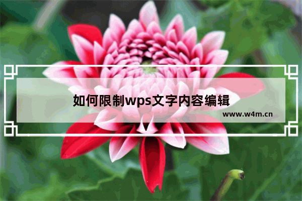 如何限制wps文字内容编辑