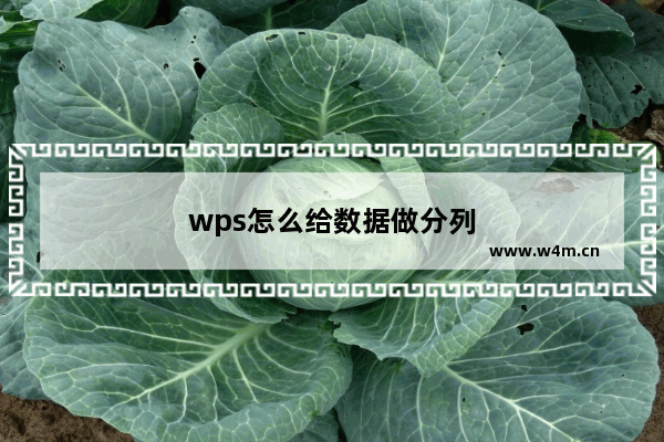 wps怎么给数据做分列