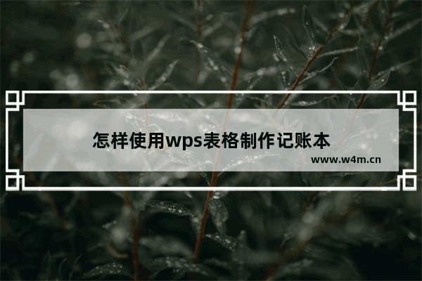 怎样使用wps表格制作记账本