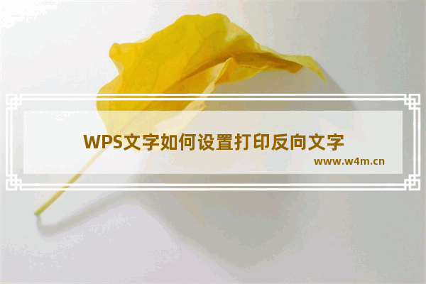 WPS文字如何设置打印反向文字