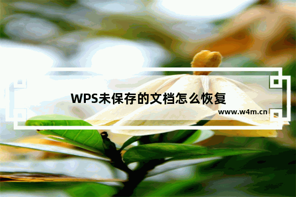 WPS未保存的文档怎么恢复