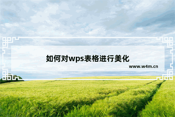 如何对wps表格进行美化