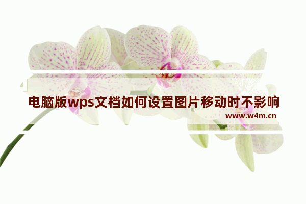 电脑版wps文档如何设置图片移动时不影响文字