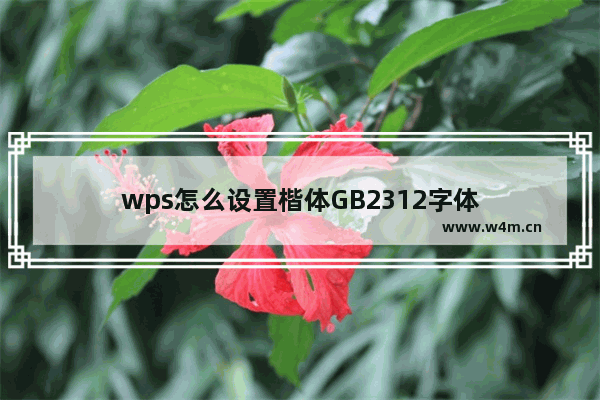 wps怎么设置楷体GB2312字体