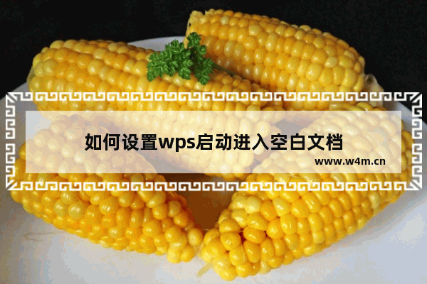 如何设置wps启动进入空白文档