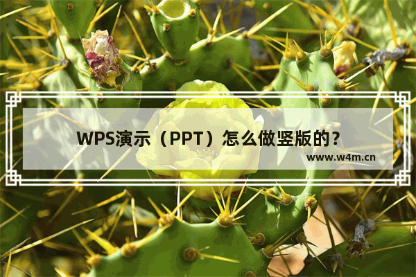 WPS演示（PPT）怎么做竖版的？