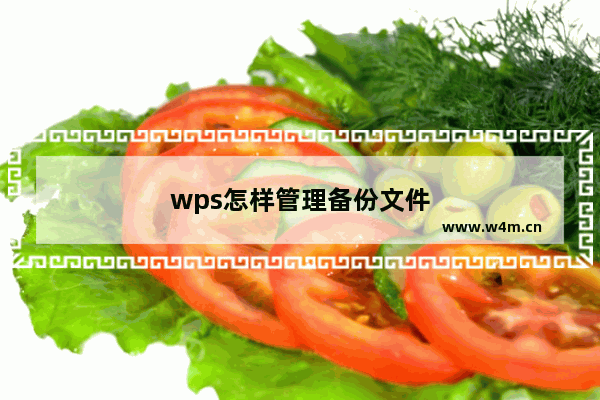 wps怎样管理备份文件