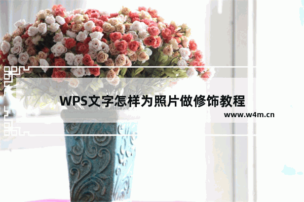 WPS文字怎样为照片做修饰教程