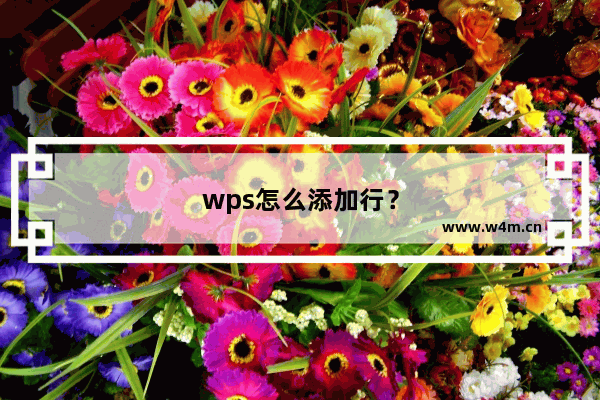 wps怎么添加行？