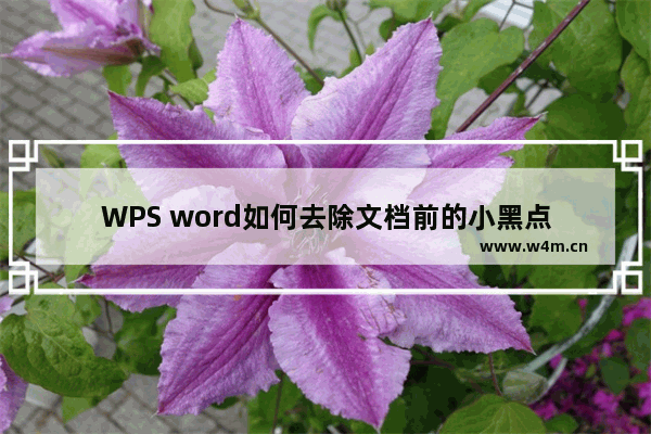 WPS word如何去除文档前的小黑点