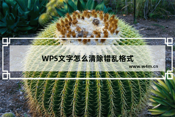 WPS文字怎么清除错乱格式