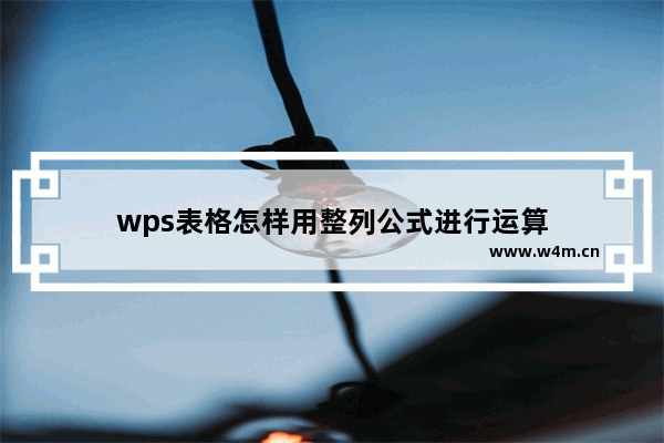 wps表格怎样用整列公式进行运算