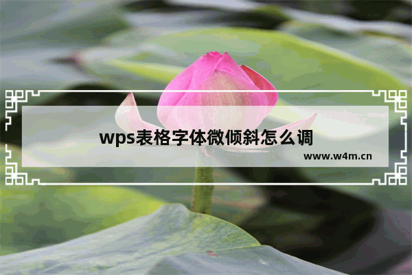 wps表格字体微倾斜怎么调