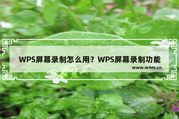 WPS屏幕录制怎么用？WPS屏幕录制功能使用方法（附屏幕录制功能用不了的解决方法！）