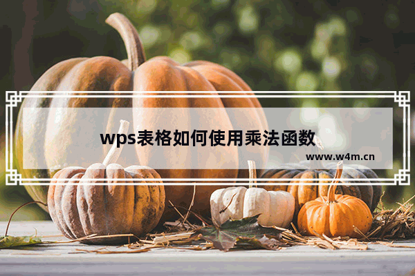 wps表格如何使用乘法函数