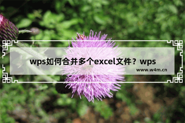 wps如何合并多个excel文件？wps合并多个excel文件教程