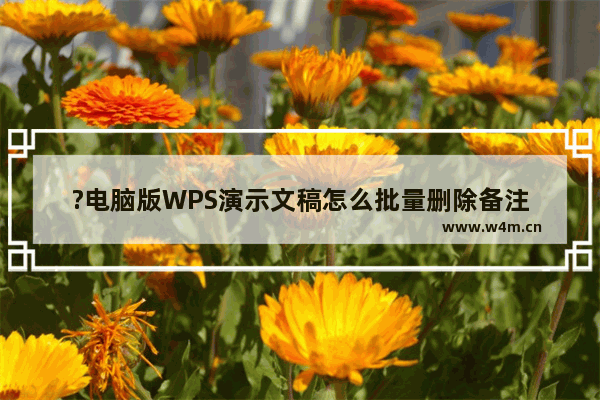 ?电脑版WPS演示文稿怎么批量删除备注