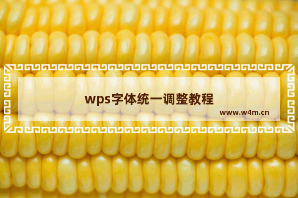 wps字体统一调整教程