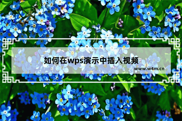 如何在wps演示中插入视频