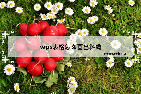 wps表格怎么画出斜线